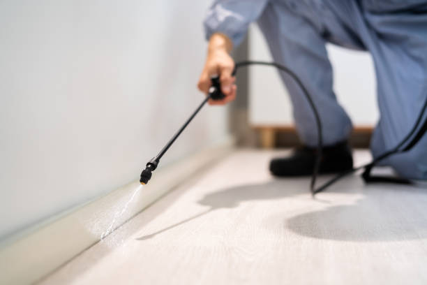 Licensed Mosquito Control service in River Heights, UT - Show Me Pest Control