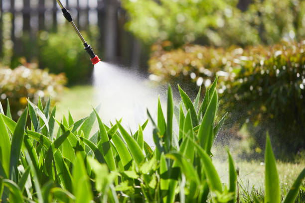 24/7 Emergency Mosquito Control experts in River Heights, UT