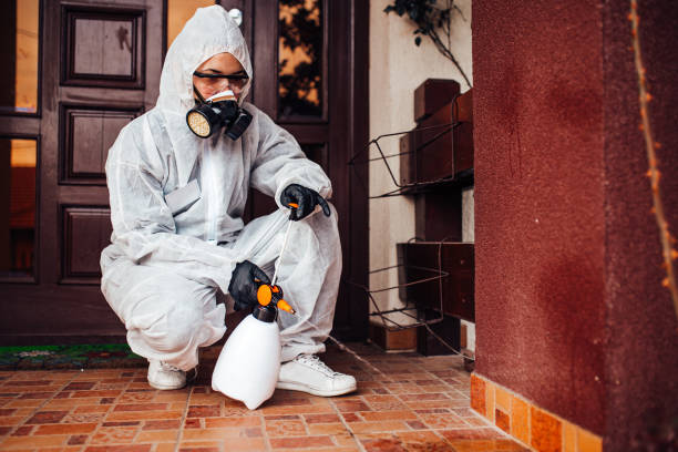 Reliable Mosquito Control contractor in River Heights, UT by Show Me Pest Control